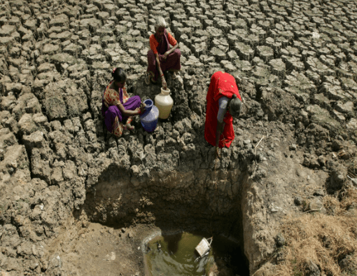 Chennai's Water Crisis Deepens Veeranam Lake Dries Up Amid Declining ...