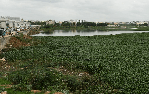 Telangana High Court Takes Action Against Construction Debris Pollution 