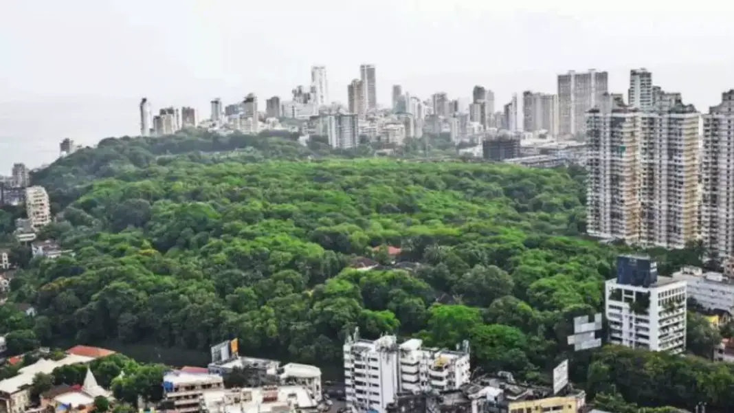 IT-Roorkee Input on Malabar Hill Reservoir Overhaul