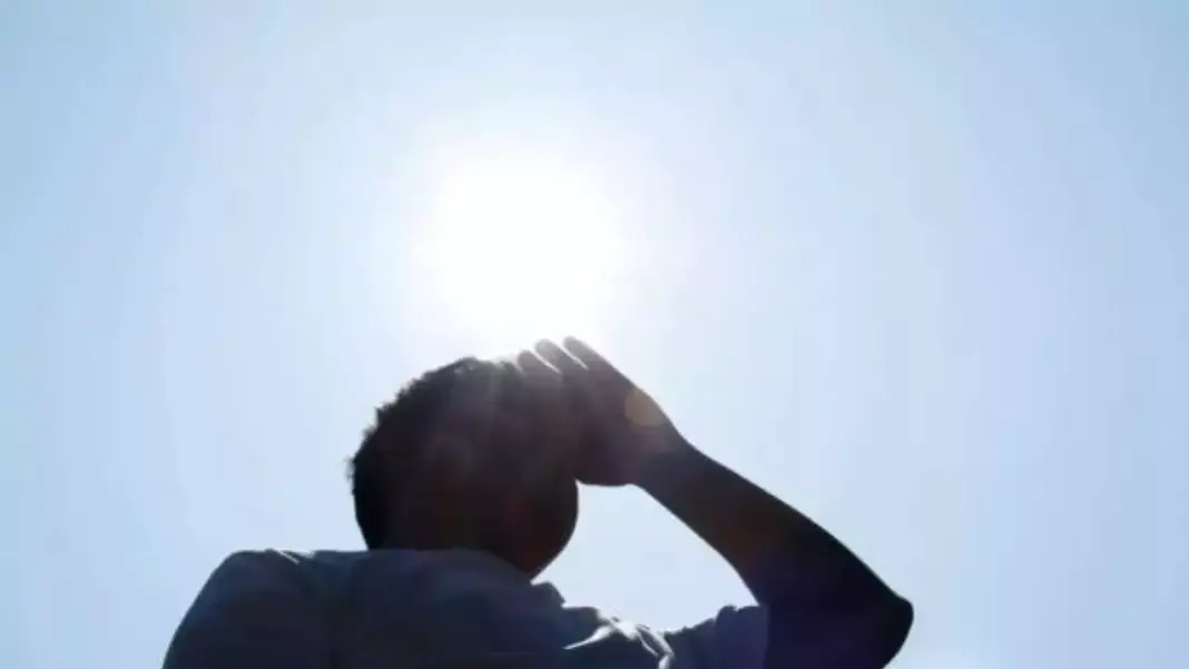 Fatal Heatwave Claims Five Lives in New Delhi Hospitals