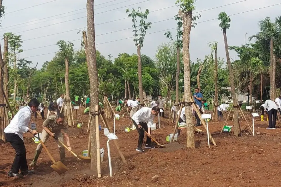 Public Urges K-Ride to Oversee Tree Planting