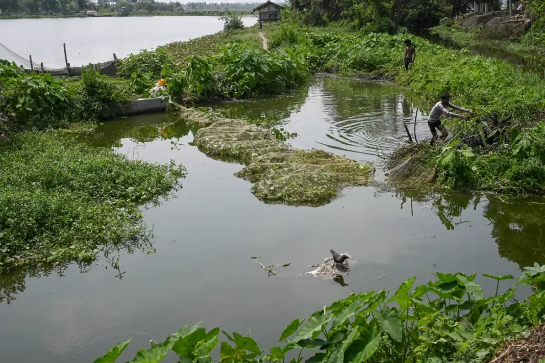 Environmentalists Applaud CM's Stand Against Pond Filling in Kolkata