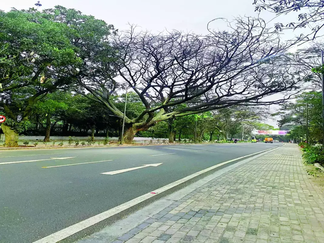 BBMP Launches 'Lite TenderSURE' for Metro Footpaths Redevelopment
