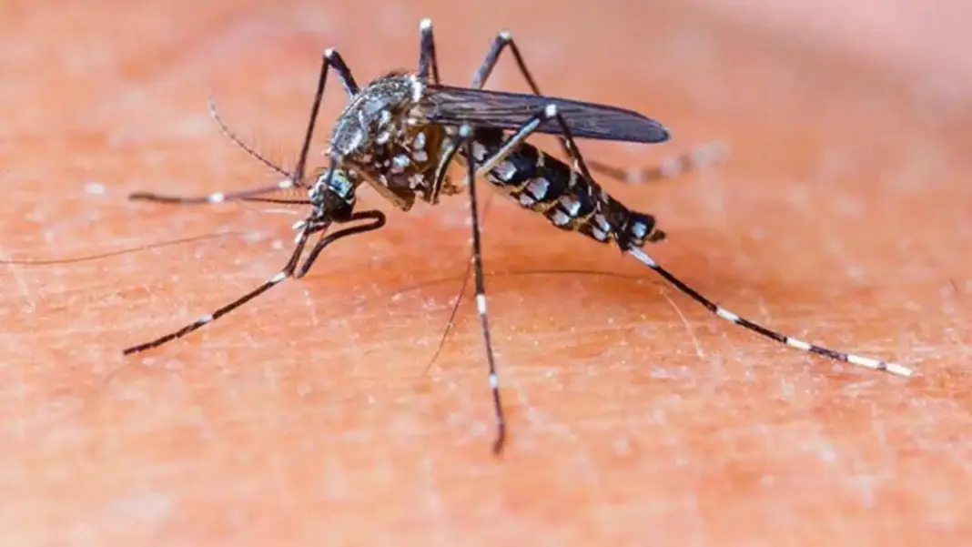 Malaria Cases in Mumbai, Gadchiroli