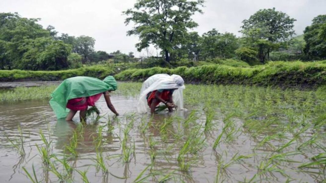 Boost for Gujarat Farmers More Narmada Water