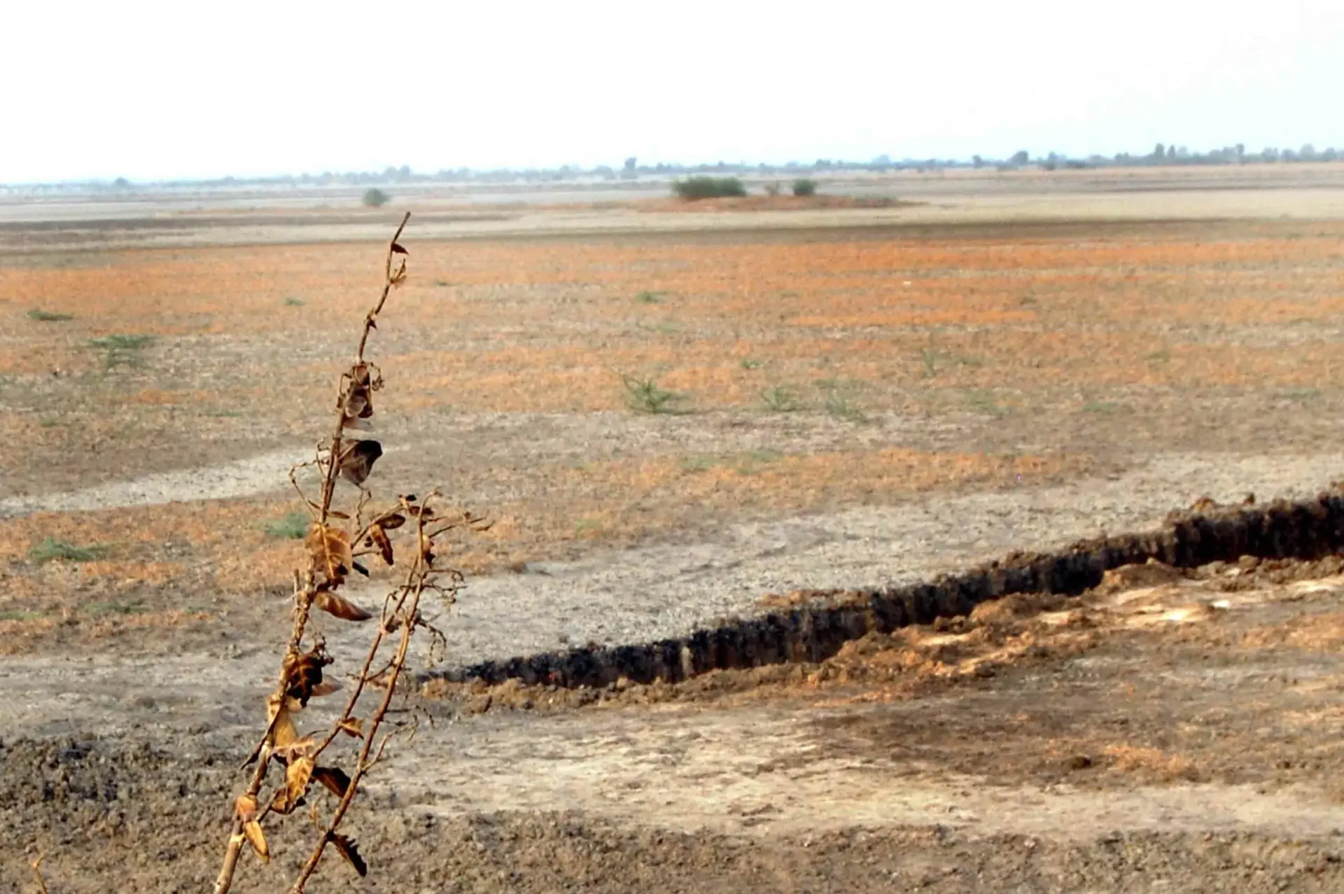 Hyderabad's ₹1,500 Crore Land Dispute Encroachment Sparks Legal Battle