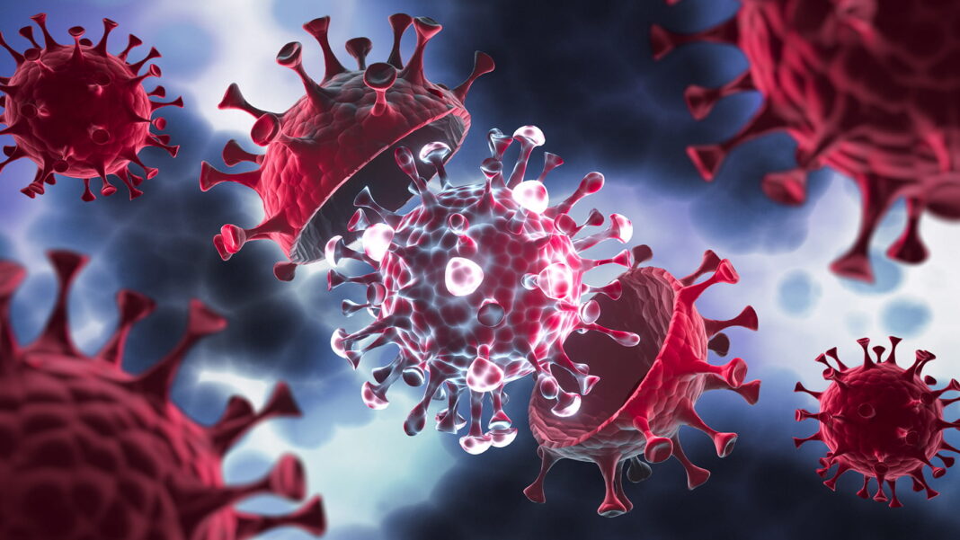 Health Authorities in Udaipur Vigilant Amid Suspected Chandipura Virus Cases