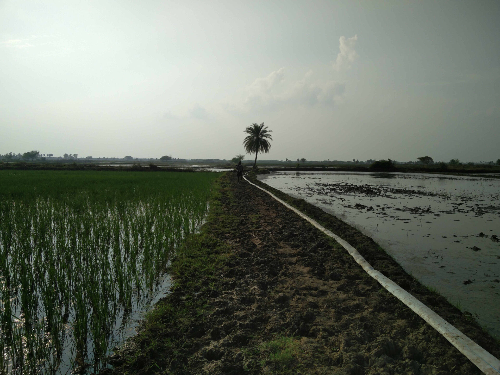 Tamil Nadu's Land Reforms Benefit Over 6.5 Lakh Citizens Since 2021