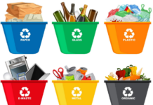 Bengaluru's Solid Waste Management Overhaul