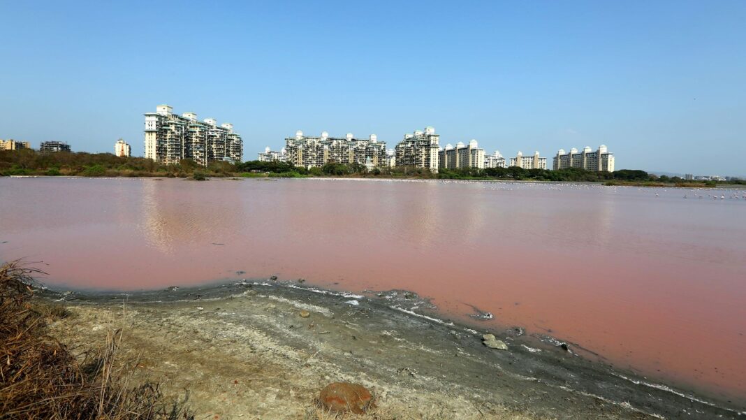 BMC Neglects Key Lakes Desilting for Decade