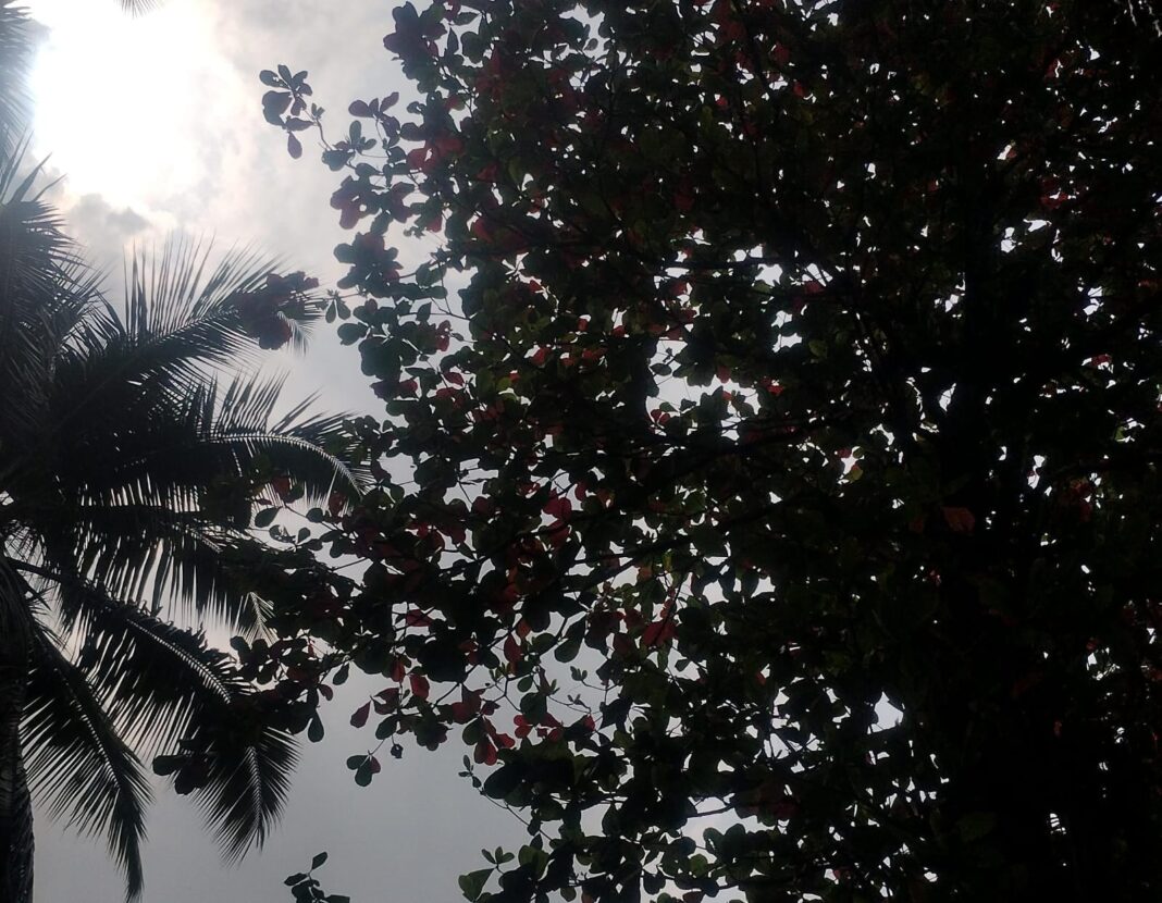 Mumbai Wakes to Mild Temperatures and Good Air Quality on August 24