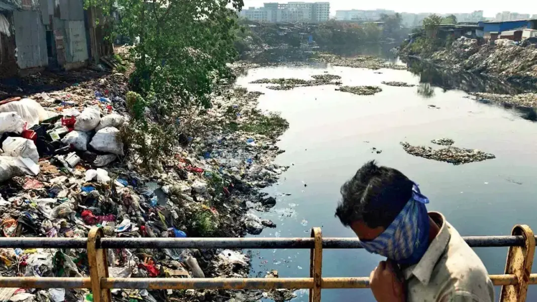 BMC's Urban Forestry Initiative Greening Mumbai's Mithi River