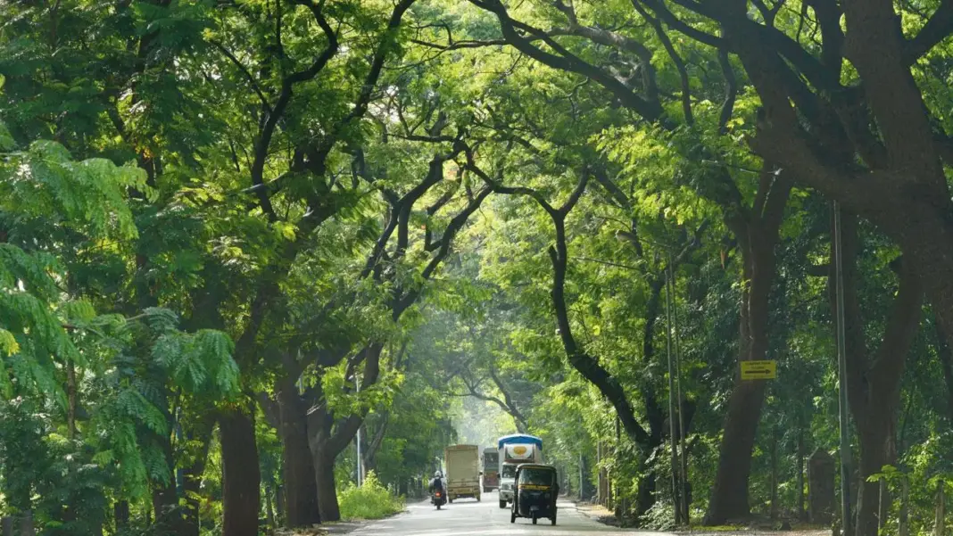 Forest Department Pushes for Speed Breakers in Aarey