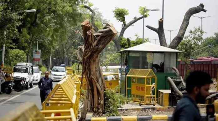 Residents Fight for Peace and Green Spaces in Malad