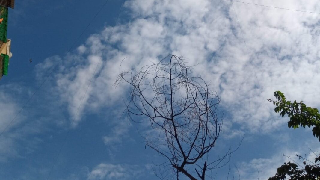 Mumbai Weather Report and Air Quality Insights for September 10, 2024