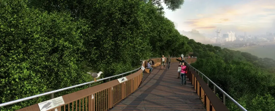 Take a Walk in the Clouds: Elevated Forest Path Nears Completion