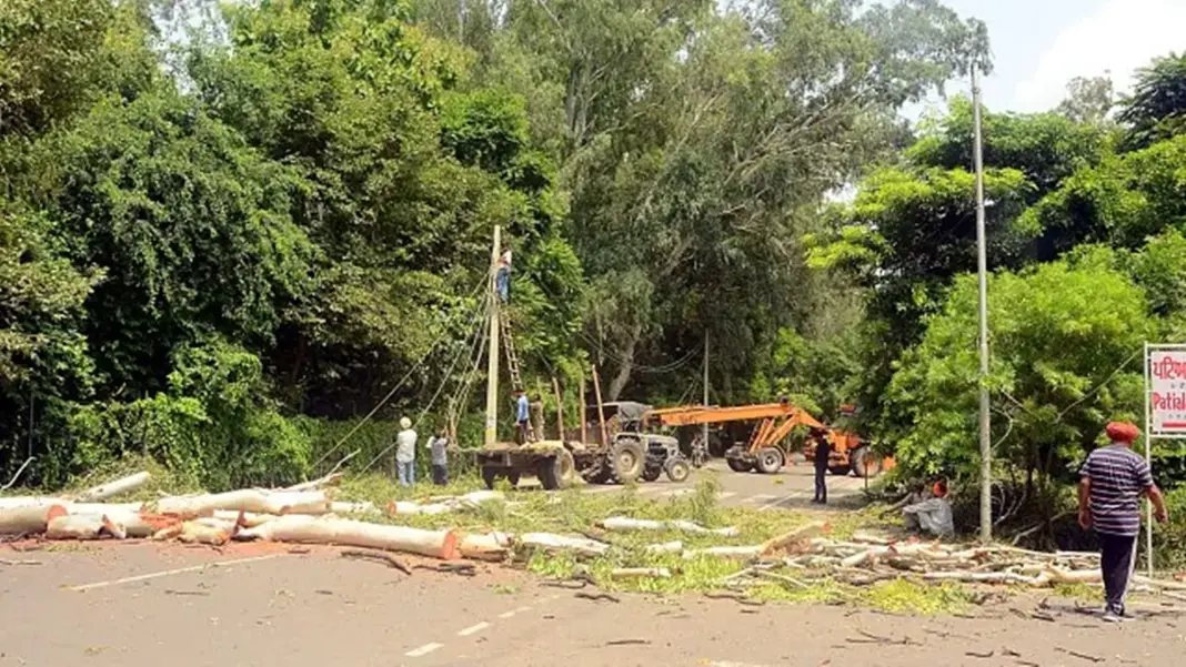 Bengaluru Reclaims Forest Land Amid HMT Dispute
