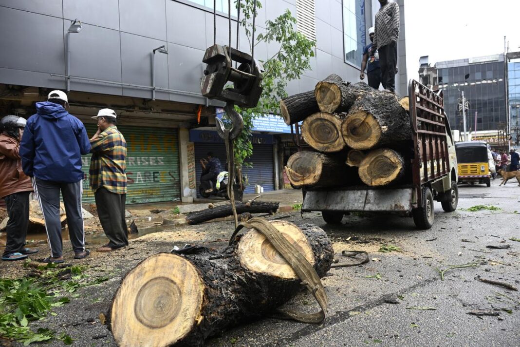 HYDRAA, Traffic Police Target Tree Hazards and Encroachments