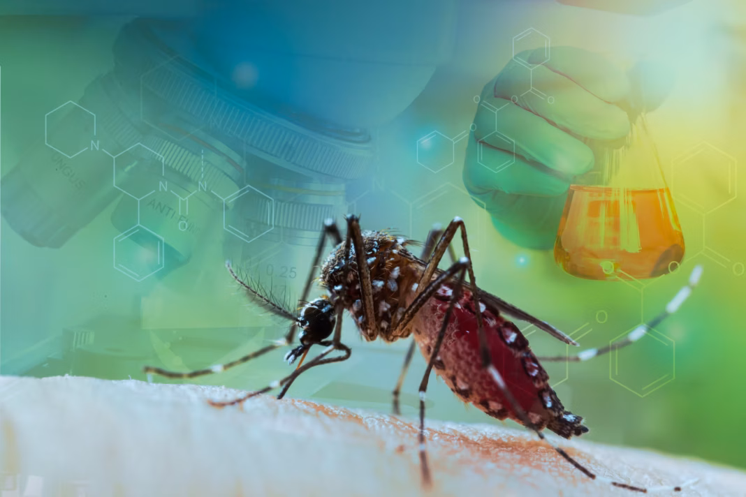 Surge in Black Fungus Post-Dengue and Chikungunya Alarms Pune