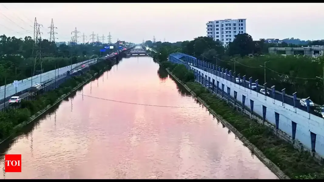Expanded Thanikachalam Canal Reduces Chennai Flooding