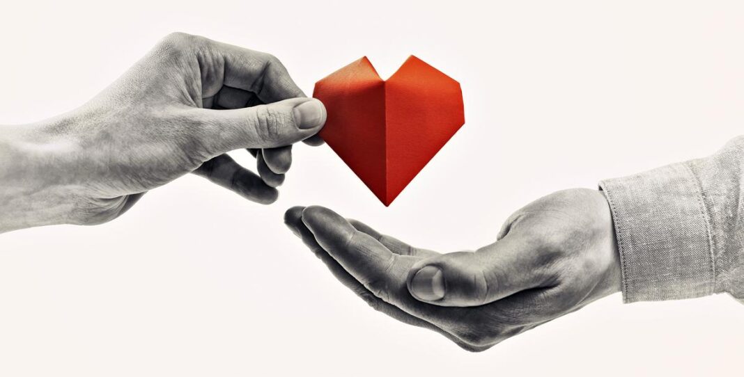 Mumbai Sees 20% Rise in Organ Donations in 2024