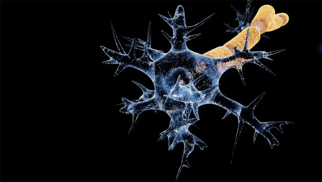 Centre Deploys Experts to Maharashtra as Guillain-Barré Syndrome Cases Surge