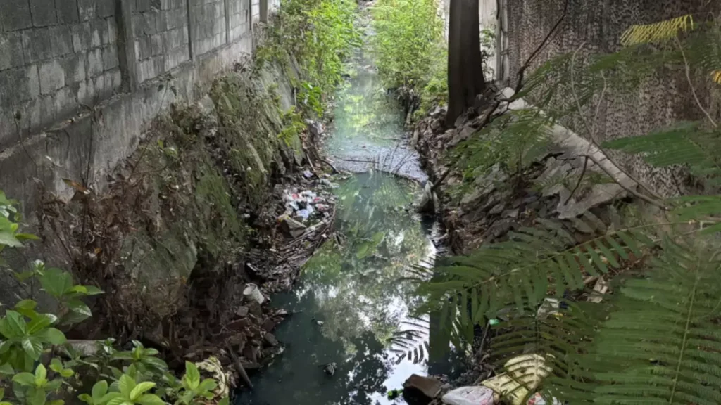 Greater Chennai Corporation plans to restore Nandanam Canal to Prevent Flooding in T Nagar