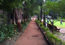 AMC's development projects are reducing Ahmedabad's green cover