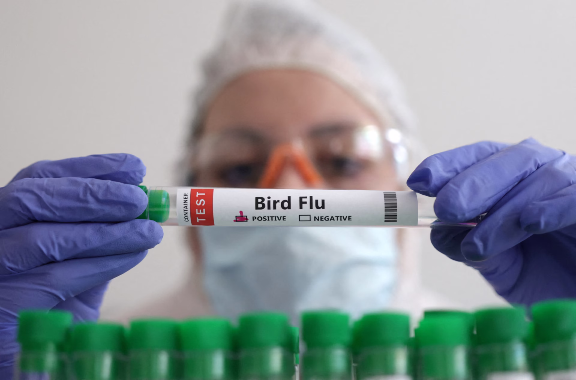 EU Agencies Warn of Mutating Bird Flu Virus Risk to Humans