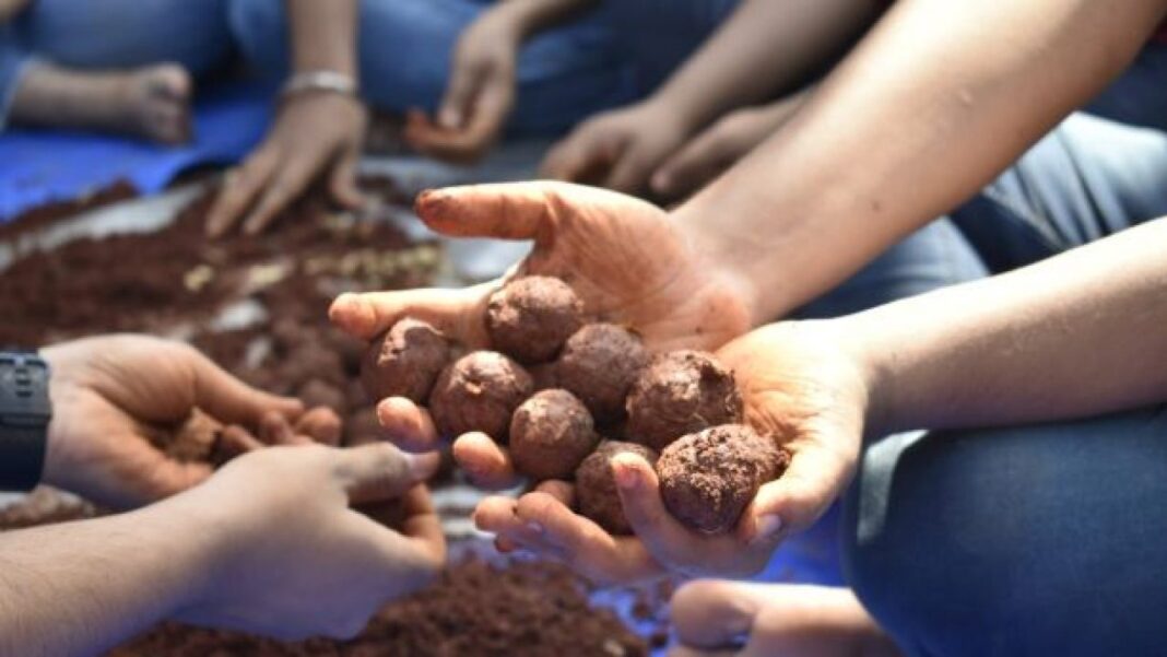 Navi Mumbai to Open Seed Collection Centres for 1 Lakh Seedballs