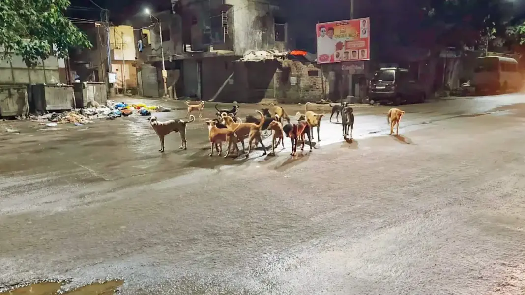 Over 135 Dog Bites in One Day in Ulhasnagar