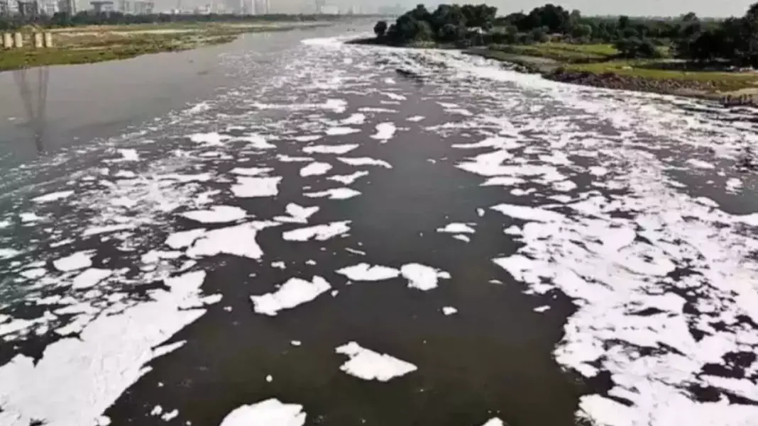 Yamuna River Faces Worst Pollution in Five Years
