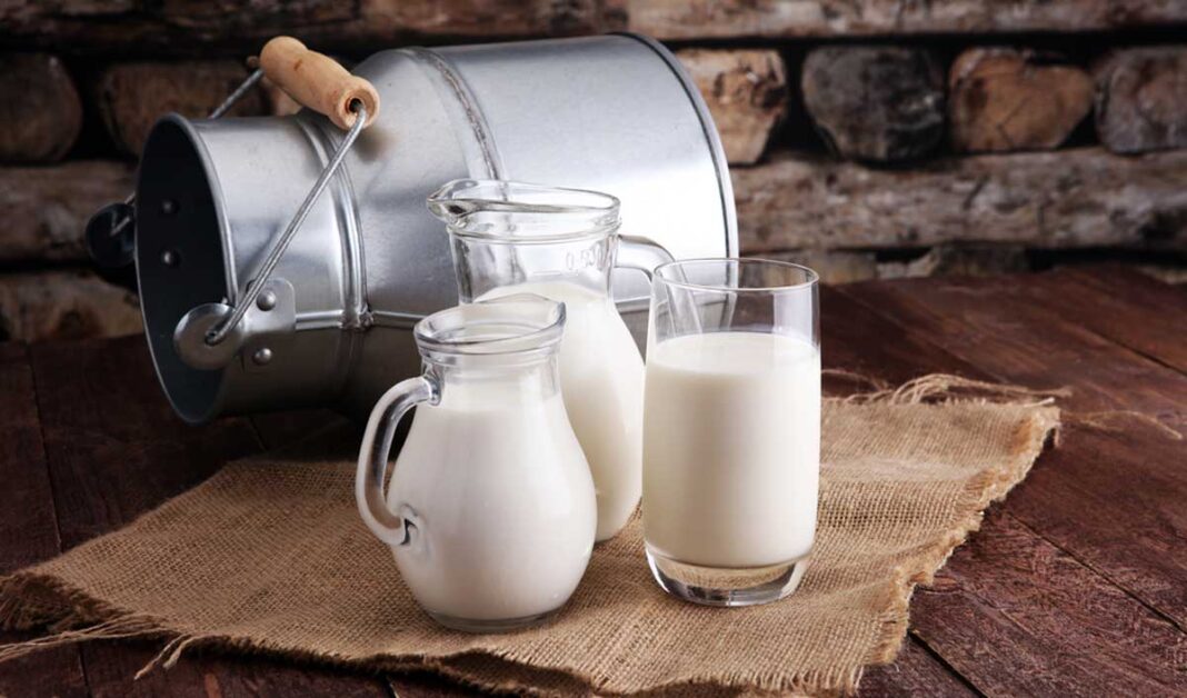 Indore Dairy Inspections Tighten Food Safety Enforcement