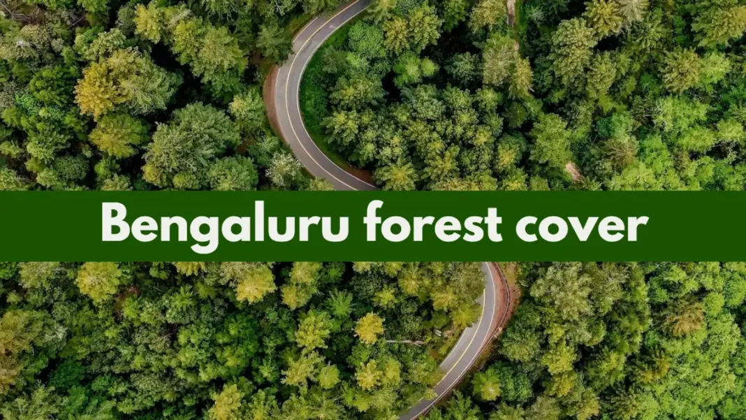 Bengaluru Paper Forests Revealing the City True Green Cover
