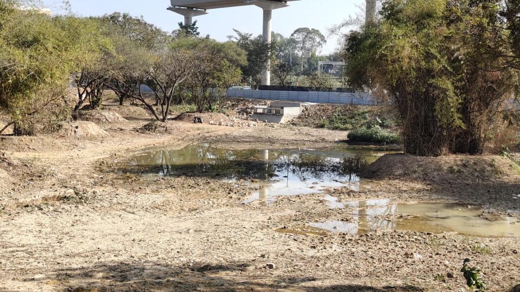 Bengaluru Residents of Kasturi Nagar Revive Neglected B. Channasandra Lake