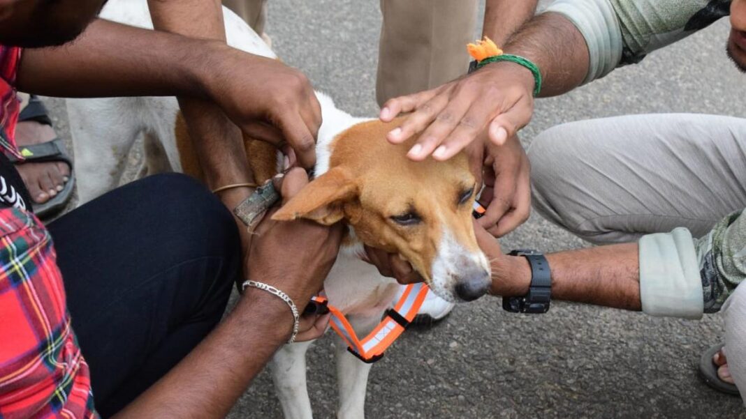 BMC Deploys LED Vehicle for Rabies Awareness in Mumbai