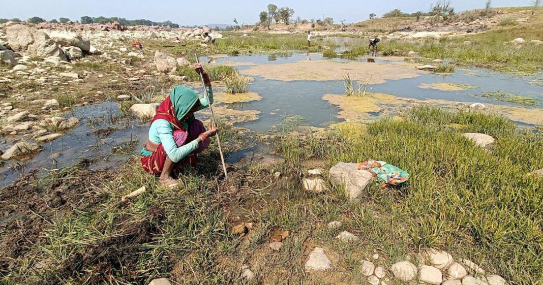 Tribes of India Confront Climate Crisis