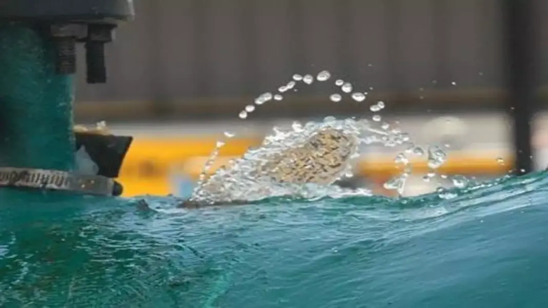 RPP Infra Gets ₹81 Crore Water Supply Project