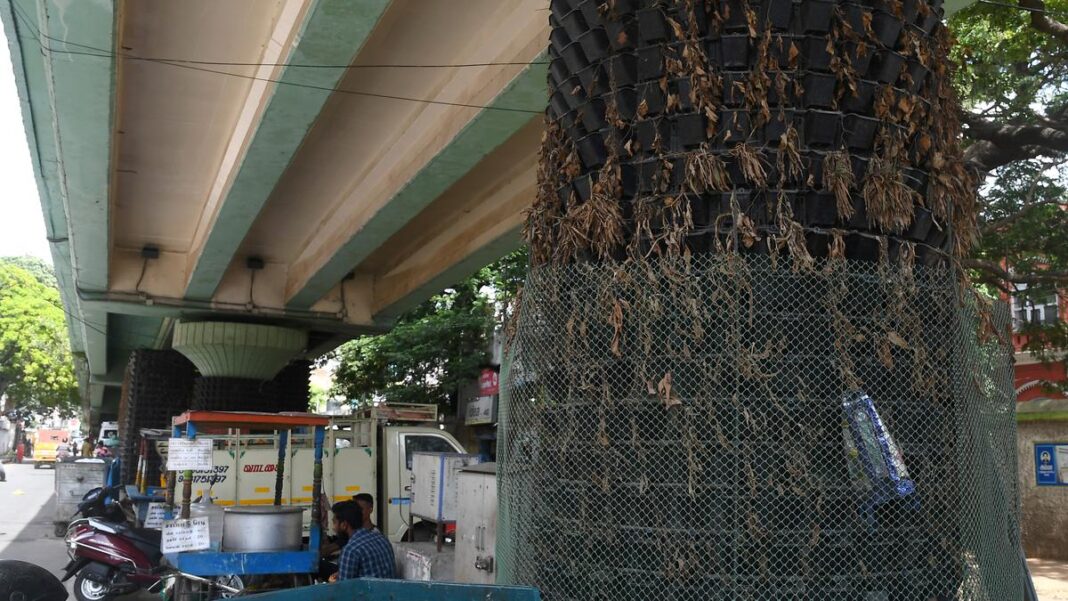 Greater Chennai Corporation’s Green Plan Takes Shape