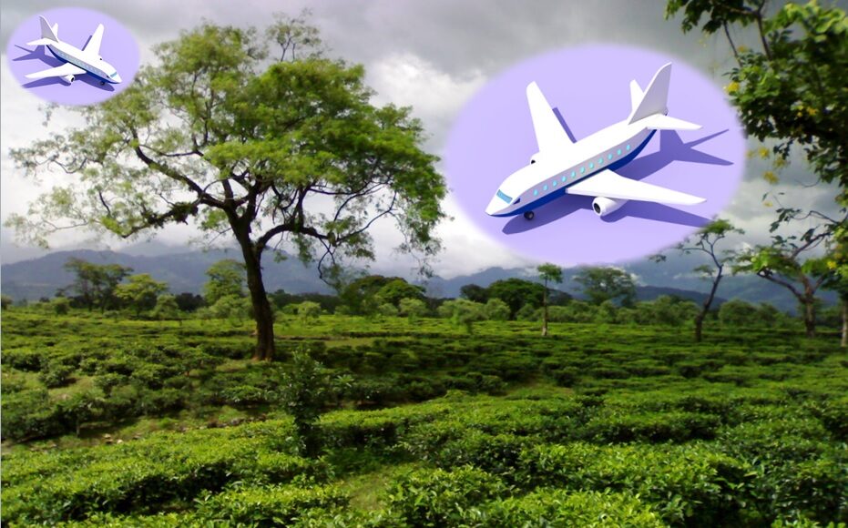 Delay in Doloo Airport Construction as AAI Awaits Report