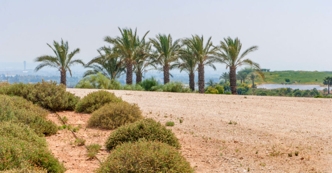 Delhi to Turn Landfills into Green Spaces