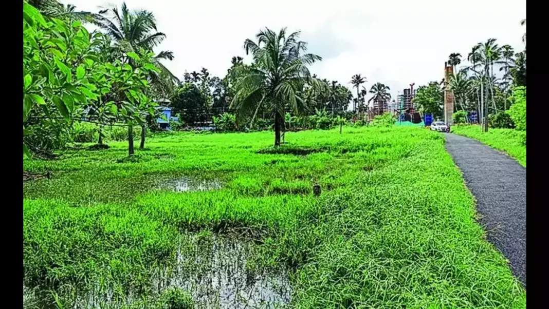 Land Pooling to Transform Tripunithura into Key Transport Hub