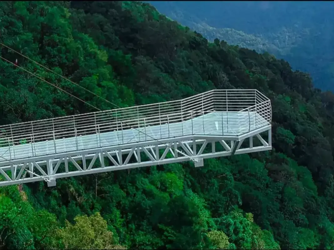 Four new bridges set to transform Kerala