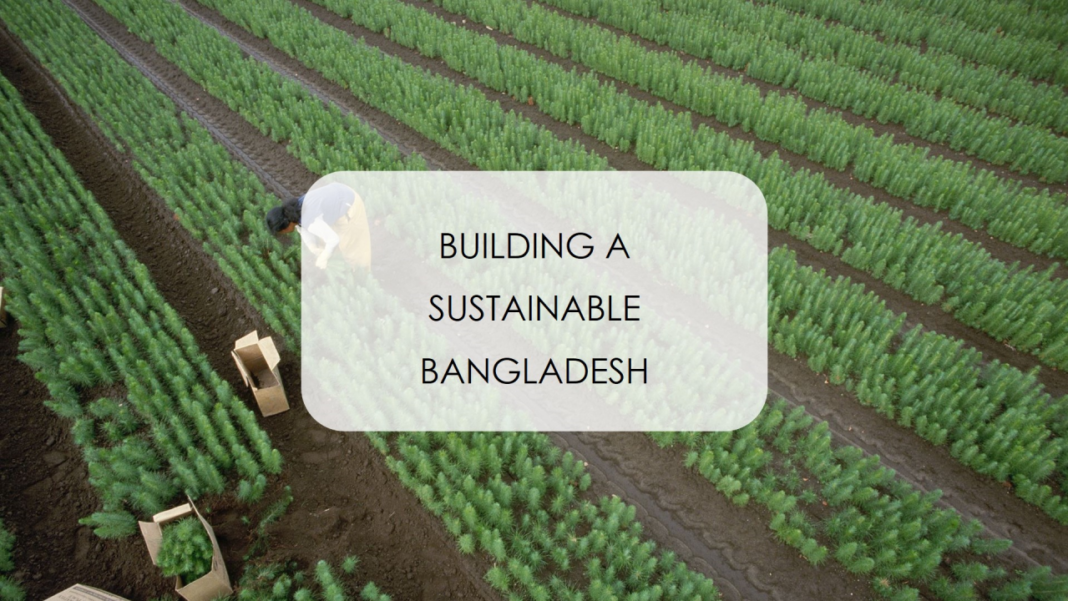 BNP Unveils Investment Plan for Sustainable Bangladesh