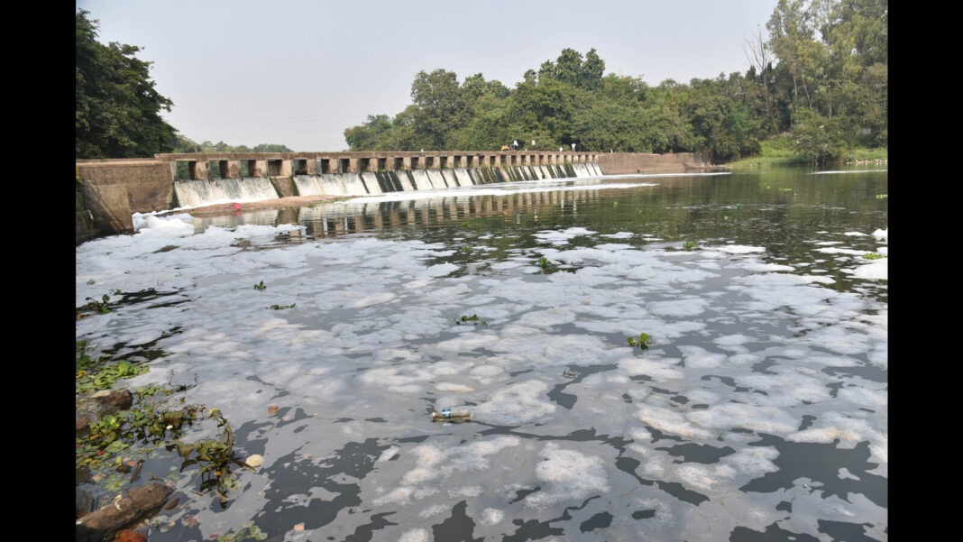 Pollution Slowly Killing Pavana River