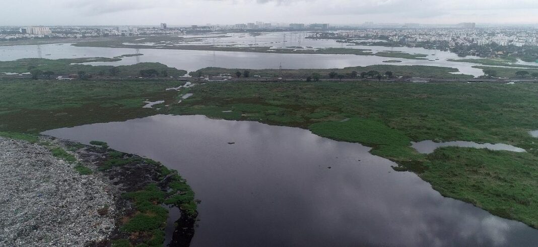 Chennais wetlands are disappearing due to unchecked urban and IT growth