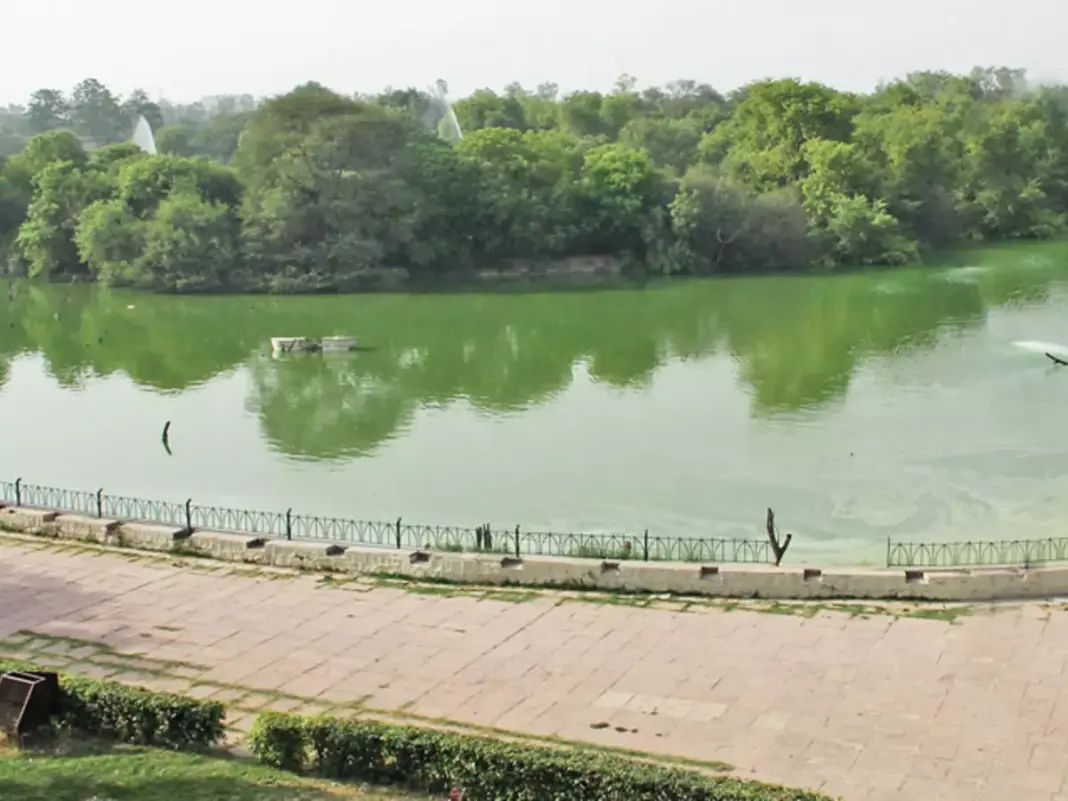 Delhi Ordered to Rejuvenate Drying Water Bodies