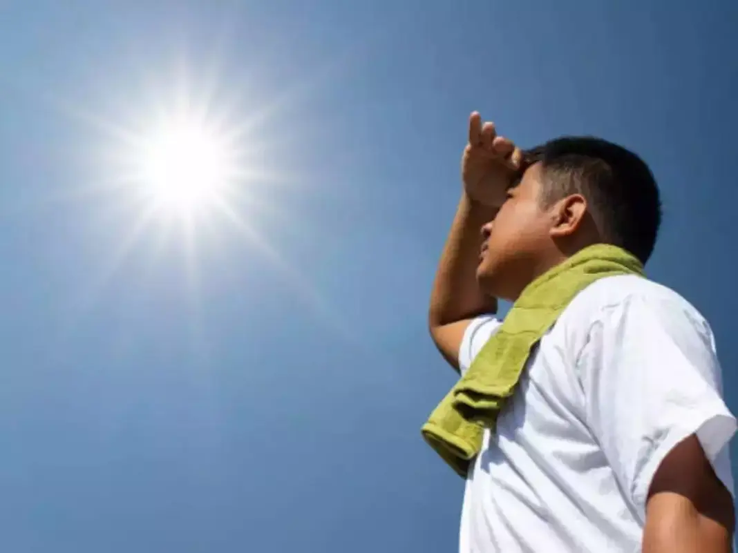 Delhi heatwave worsens as April temperature hits new high