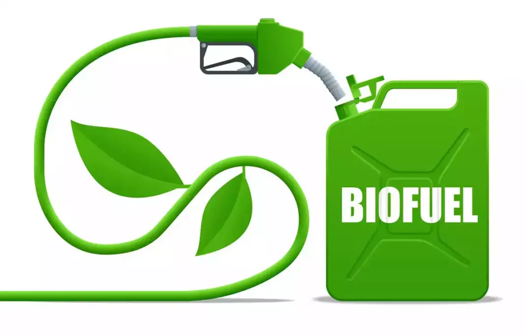 Gorakhpur Set to Become Biofuel Hub