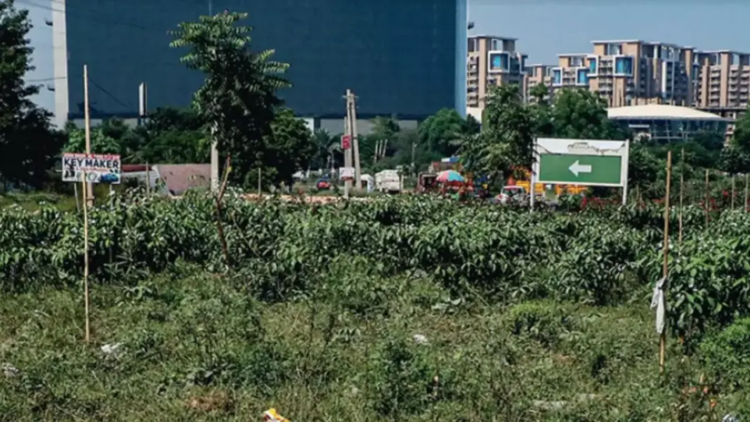 Green areas in Gurgaon to be fenced to stop further environmental loss